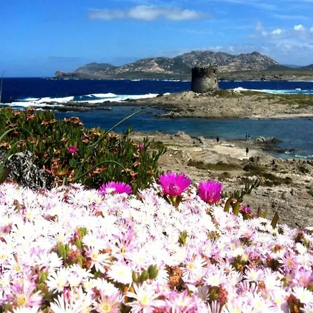 Detached With Garden In Stintino