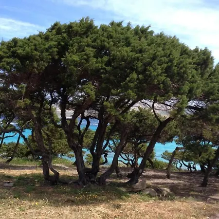 Detached With Garden In Stintino * Punta de su Torrione